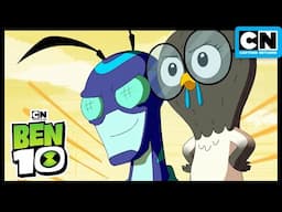 The Farm Fights Back | Ben 10 | Cartoon Network