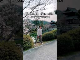 Tried everything for your chronic pain? #qigong #tcm #sakura #japan #shintoshrine