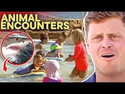 SHARK! Animals Gone WILD At Busy Beach | Bondi Rescue MEGA Compilation