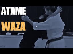 Atame Waza - Use of the Head in Kata