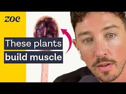 Can you get enough protein from plants? | Simon Hill & Dr Will Bulsiewicz