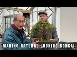 Making natural looking bonsai