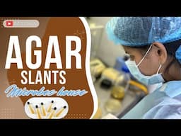 How to prepare agar slants? | AGAR SLANTS |  #pharmaceuticalmicrobiology