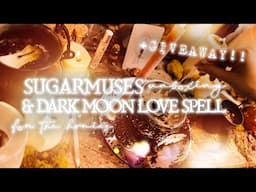 💗GIVEAWAY TIME!!💗 SugarMuses Deluxe unboxing & DARK MOON SPELL 🌸 February 2023 || Bumblebee Fern