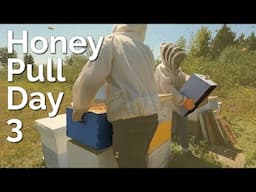 The End Of The Pull | 2021 Honey Harvest Day 3 Part 2