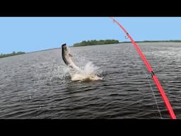 Zero To Mayhem + Scary Manatees! Florida Fishing from Kayak and Shore!