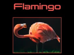 Painting a Flamingo on canvas using an airbrush