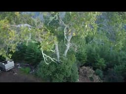 CRASH SEQUENCE  Pfeiffer Ridge Big Sur HD 2k drone video CRASH SEQUENCE with added audio effects.