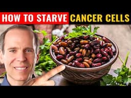 Cancer Diet: Do Animal Products Fuel Cancer Growth?