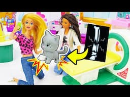 Barbie sauve un chaton abandonné🐱 Vidéo avec poupées dans le vlog de Barbie pour les filles