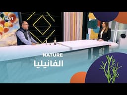 Nature - 06/02/2025 - الفانيليا