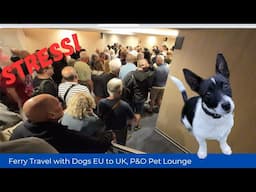 Pet ferry travel from EU to UK with P&O Ferries Pet Lounge