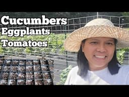 Succession Planting Cucumbers and Kentucky Garten Tour