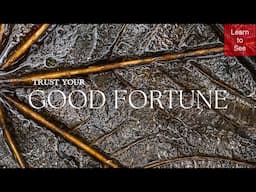 Trust Your Good Fortune | Intimate Landscape Photography