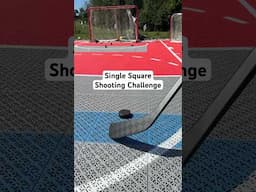 12 Inch Shooting Challenge