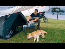 Camping Alone and Riding Motorbike in the Mountains of Thailand / Cooking Thai Food with a Dog