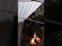 Birch bark firemaking