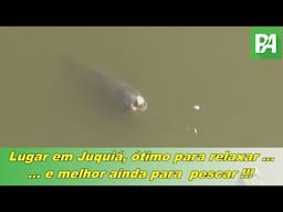 Canal Pesca Alternativa