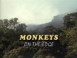 Monkeys on the Edge (1990)