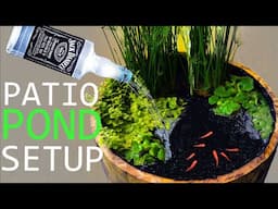 How-to Build a Patio Pond from a Barrel!