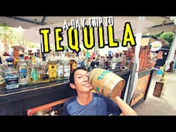 TEQUILA: A Perfect Day! | Tequila Day Trip from Guadalajara