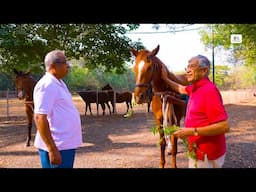 YERAVADA STUD FARM | Meet the Team