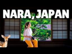 A day trip to NARA | Japan Travel Vlog 🦌 Nara Deer Park, Todai-ji Temple, Viral Mochi 🍡 #narajapan