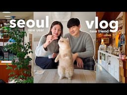 first seoul vlog of 2025 ✨a new cat friend 🐈 pet loss & grief, NYE with a dink couple