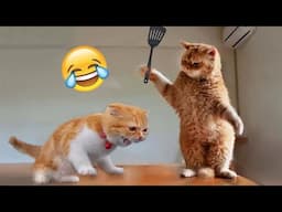 You Laugh You Lose 😍 Funniest Cats and Dogs 2024 😸🐶