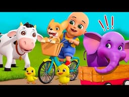 Bingo Song + Lola the Cow Song + Animal Farm Song  | Nursery Rhymes and Kids Songs