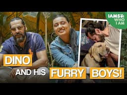 Dino Morea’s furry boys - Maximus & Ganpat || Paws & Play S02 || @janicesequeira