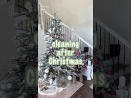 Clean with me 🎄🫧 #cleaningmotivation #cleaningroutine #cleaningvlog #cleaningvideos #cleanwithme