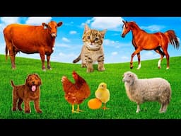 Sounds and actions of farm animals: Dog, cow, chicken, cat, rabbit, duck, mouse