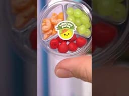 Loncheras con Comida Miniatura Para Muñecas