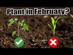 24 Vegetables to Plant in February Indoors & Outdoors