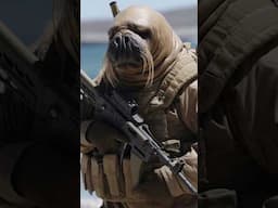 Add These Skins In COD #warzone #cod #skins #gaming #mw2 #rocket #otter #tiger #goose #animals