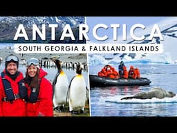 ANTARCTICA CRUISE 18-Day Travel Guide with SOUTH GEORGIA & FALKLANDS | Silversea