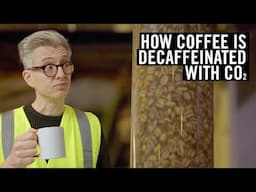 The 168 Hour Liquid CO2 Bath That Decaffeinates Coffee!