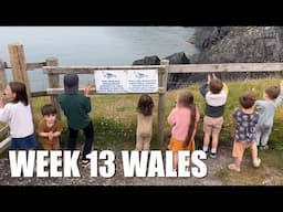 SPOTTING SEALS IN WALES! (DID WE SPOT ANY?!) | WEEK 13: WALES