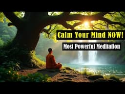 Guided Mindfulness Meditation for Beginners