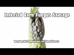 Cuitlacoche Corn Fungus Sausage (Not Suitable for Children)