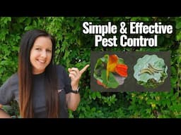 Natural Ways To Deter Pests From The Garden