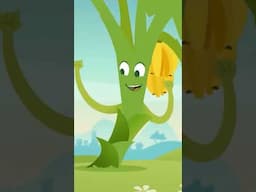 📲 Banana Tree! Did you know that bananas don't grow from seeds? - Luna Shorts l Earth to Luna