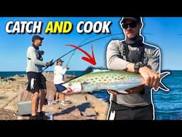 Spanish Mackerel Catch and Cook UNSEASONED - Pure Flavor