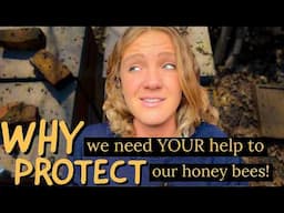 Are Commercial Beekeepers Our FRIENDS?! Beekeeping 101 #beekeeping