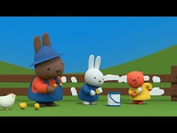 Miffy's Cozy Farm Life | Miffy | Best Of Miffy