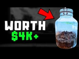 I Made Thousands With a Jar Of Dirt...