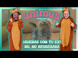 ANIMUS EP 75: ¿Sueñas con tu ex? No, no regresará