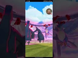 Dynamax Articuno Max Monday Shiny Hunt - Pokemon GO - LIVE