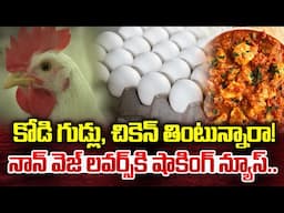 కోడి గుడ్లు, చికెన్ తింటున్నారా! | Must Watch Chicken Lovers | Non- Veg Eating | SumanTV World